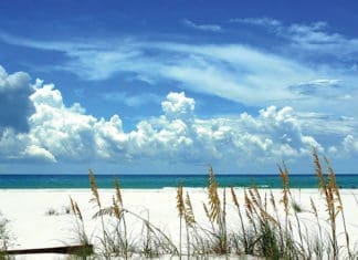 Beach Scene