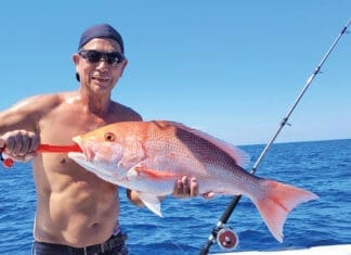 Snapper July 1
