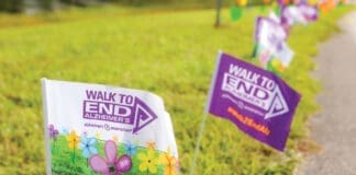 Alz Walk Flags