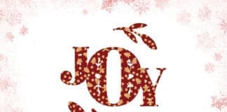 Joy 1