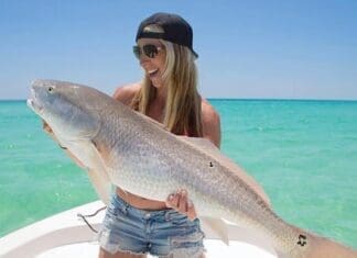 Fishing Report Cali Redfish