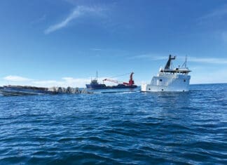 Large Research Vessel Deployed for Artificial Reef First Step Toward World’s Largest Artificial Reef?