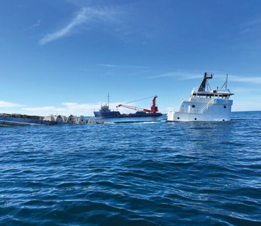 First Step Toward World’s Largest Artificial Reef?