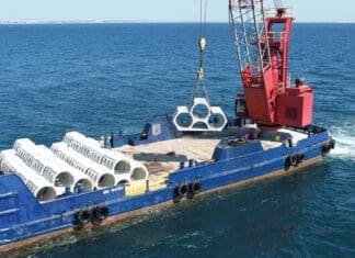 More than 275 Artificial Reefs Recently Deployed Artificial Reefs