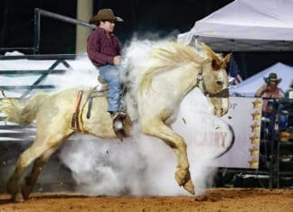 Around Town: Events Around Ft. Walton Beach March 2025 Westonwood Rodeo 2799