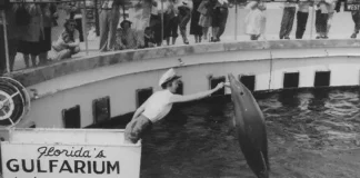 Gulfarium History