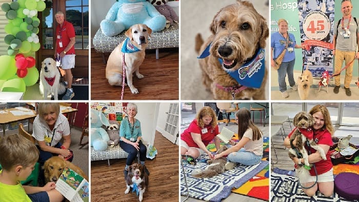 Dog Harmony Collage Dog Harmony Collage