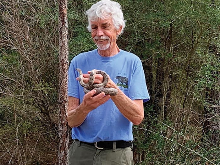 Turtle Bob W Snake Turtle Bob W Snake