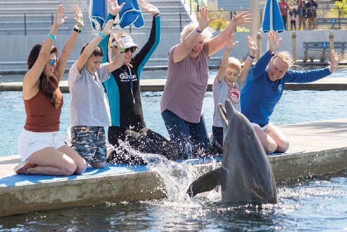 Gulfarium Discover Dolphins