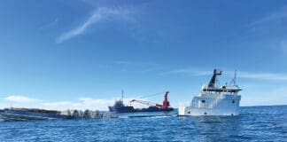 First Step Toward World’s Largest Artificial Reef?