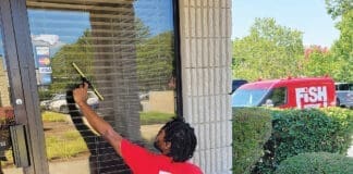 Fish Window Cleaning